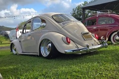 Samuel T' Beetle