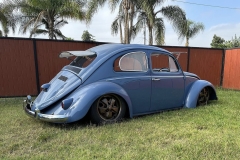 Willie W' Beetle
