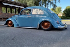 Paavola' Beetle