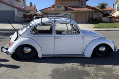 Fabian T' Beetle