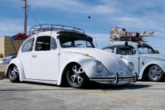 Fabian T' Beetle