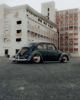 Luis P' Beetle