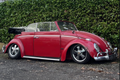 Steven N' Beetle