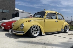 Masayoshi Y' Beetle