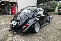Tomes' Beetle