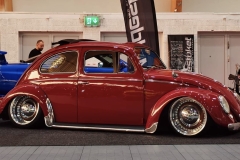 Glen O' Beetle