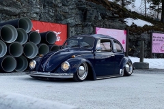 Nicky B' Beetle