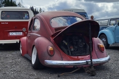 Marius P' Beetle