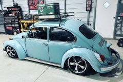 Tim T' Beetle