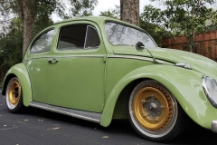 Sean L' Beetle