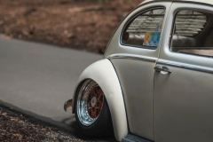 Paul B' Beetle