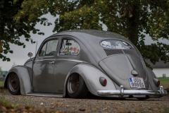 Moe' Beetle