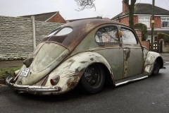 Scott A' Beetle