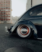 Luis P' Beetle