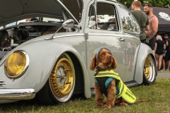 DK Automotive Built' Beetle
