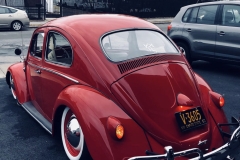 Travis B' Beetle