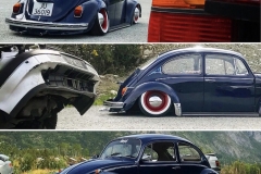 Nicky B' Beetle
