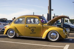 Samuele T' Beetle