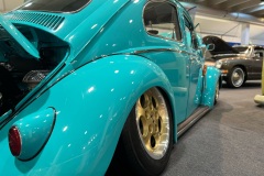 Spikes Built' Beetle
