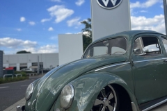 Joe C' Beetle