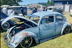 Mike A' Beetle