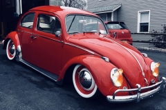 Travis B' Beetle
