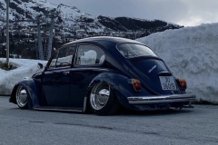 Nicky B' Beetle