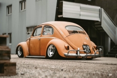 Lio' Beetle