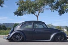 Shaun P' Beetle