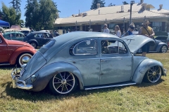 Mike A' Beetle