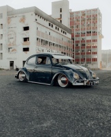 Luis P' Beetle