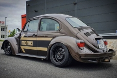 Unknown' Beetle
