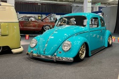 Spikes Built' Beetle