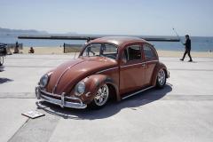 Teruyoshi Y' Beetle