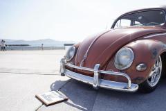 Teruyoshi Y' Beetle