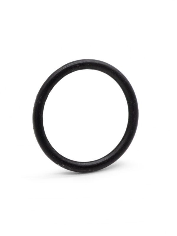 Oil Filler Neck O Ring