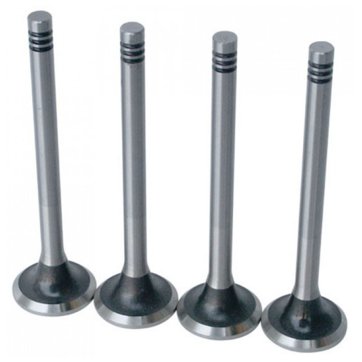 Precision Machined Stock Valves 1500-1600 (Each)