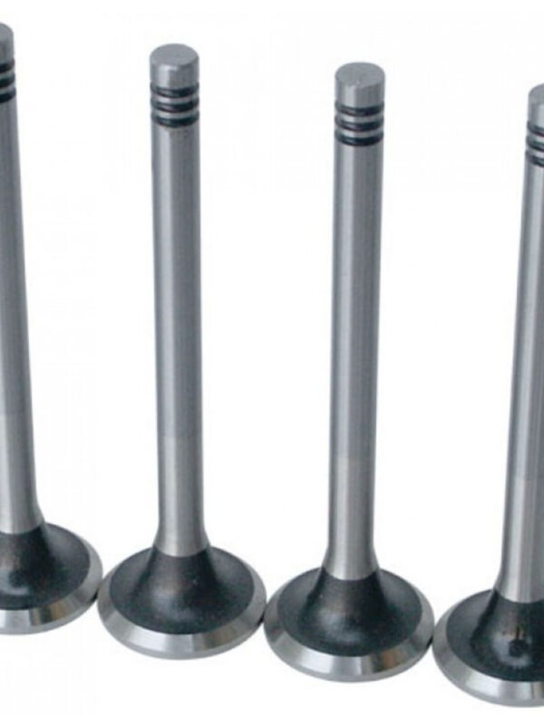 Precision Machined Stock Valves 1500-1600 (Each)