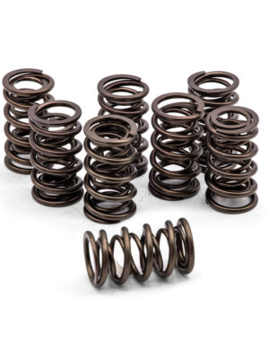 Hi-Rev Dual Valve Springs (Set of 8)