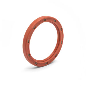 T1 T2 Flywheel Oil Seal Twin Lips Premium Quality