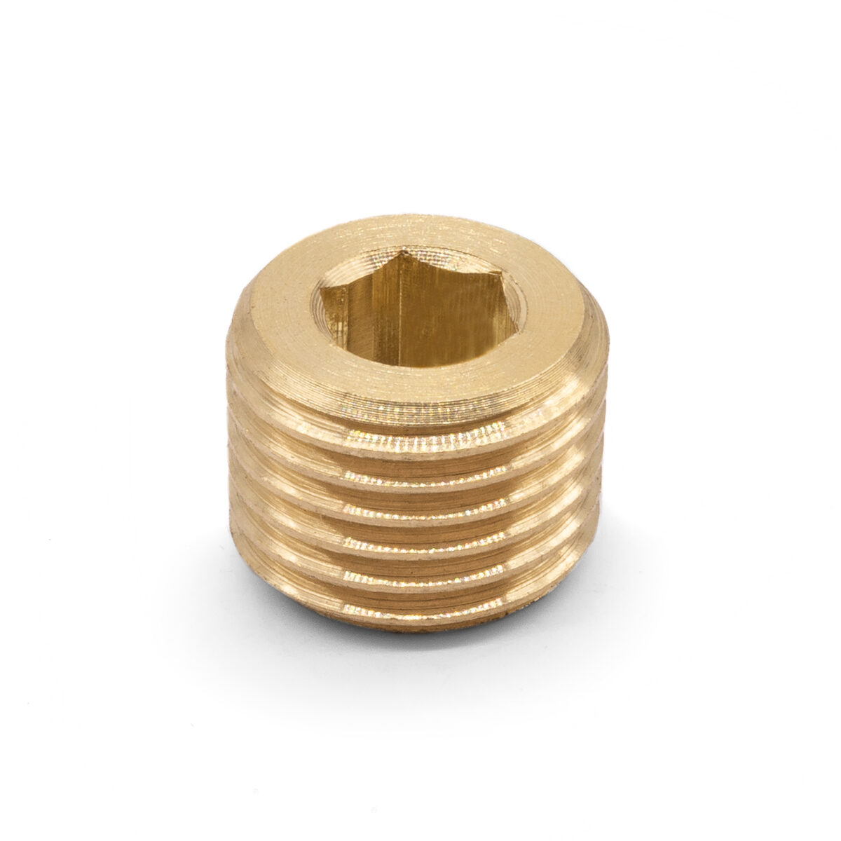 1/4" NPT Plug / Bung / Blank / Block Off