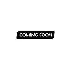 T1 1950-65 Beetle / Ghia 2" Narrowed Link Pin Fully Built Assembled Front Beam