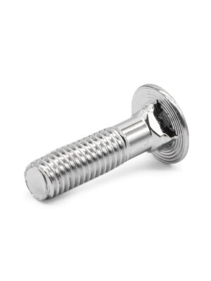 Chrome Bumper Bolt, for Blade / Towel Rail, (8mm x 31mm)