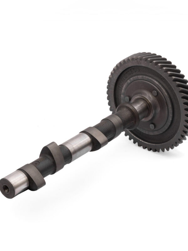 110 Camshaft Assembly, with Cam Gear