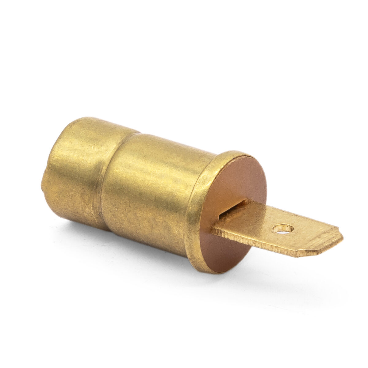 Dashboard / Instrument Panel Bulb Holder, with Spade Terminal