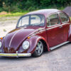 Limebug Bordeaux Bug