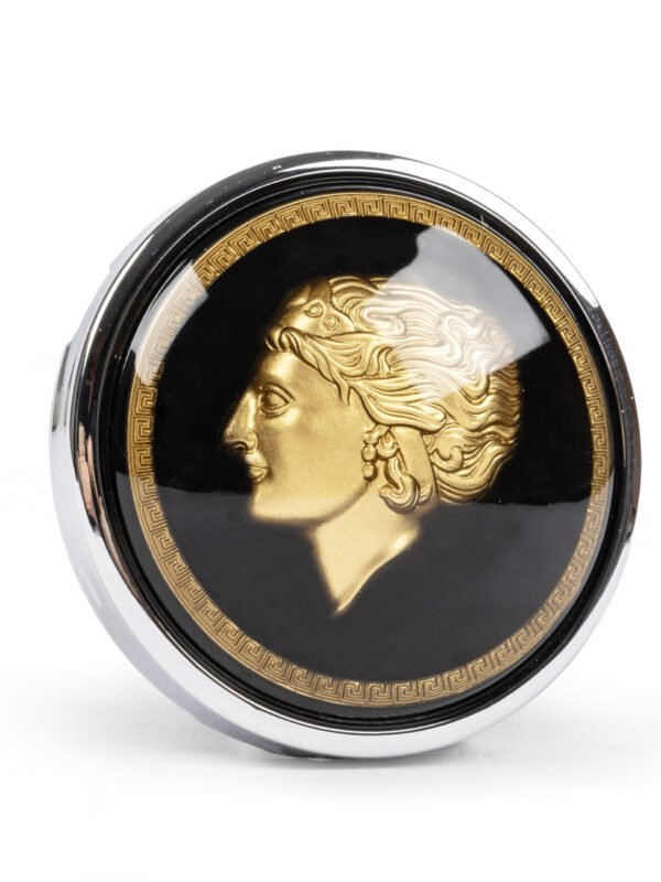 Flat 4 Golden Lady Banjo Steering Wheel Horn Push